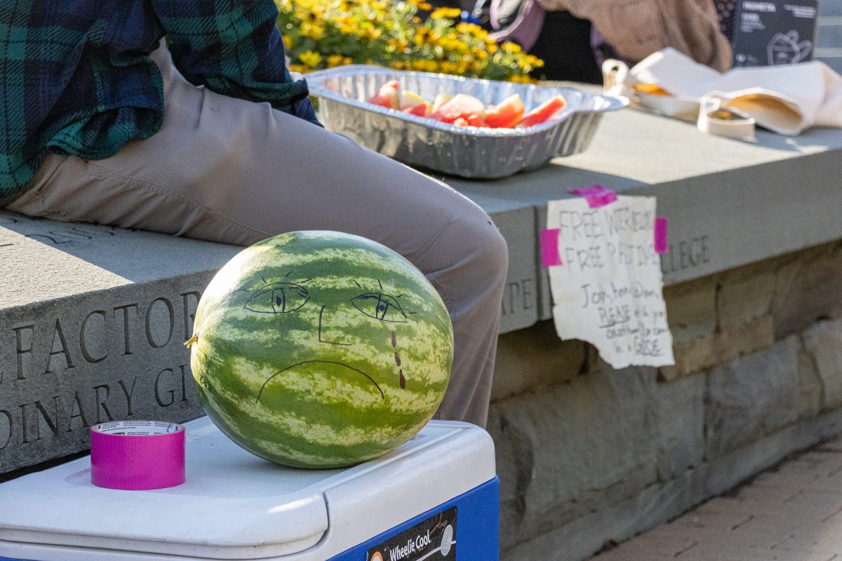 KaeleighBanda_SadWatermelon