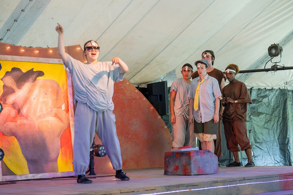 SummerTheatre_RachelPhilipsonCourtesy_02