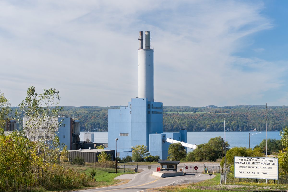 Maryland-based tech company TeraWulf announced in an Aug. 14 press release that it secured an 80-year-lease to the site of the decommissioned Cayuga power station in Lansing.