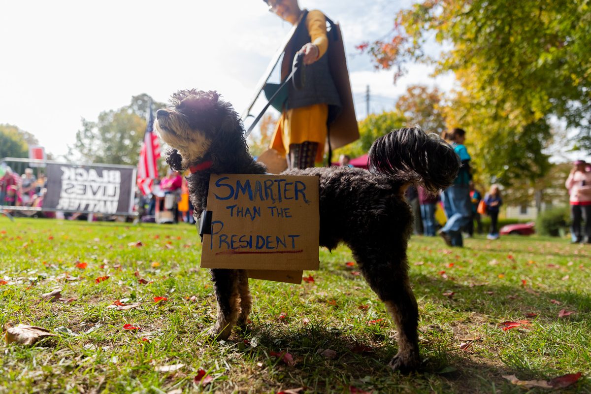 Thousands gathered at Washington Park Oct. 18 to protest against President Donald Trump and his administration as part of the second nationwide “No Kings” protests.