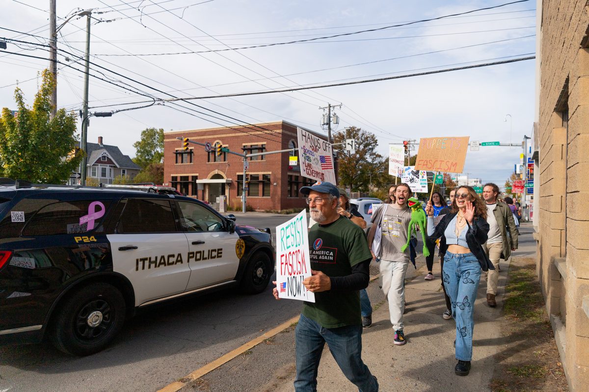 Indivisible Tompkins initially planned to end the rally with a march from Court Street to South Meadow Street but did not organize one due to permitting restrictions. Despite the permitting restrictions, many community members marched to South Meadow Street separately from Indivisible Tompkins.